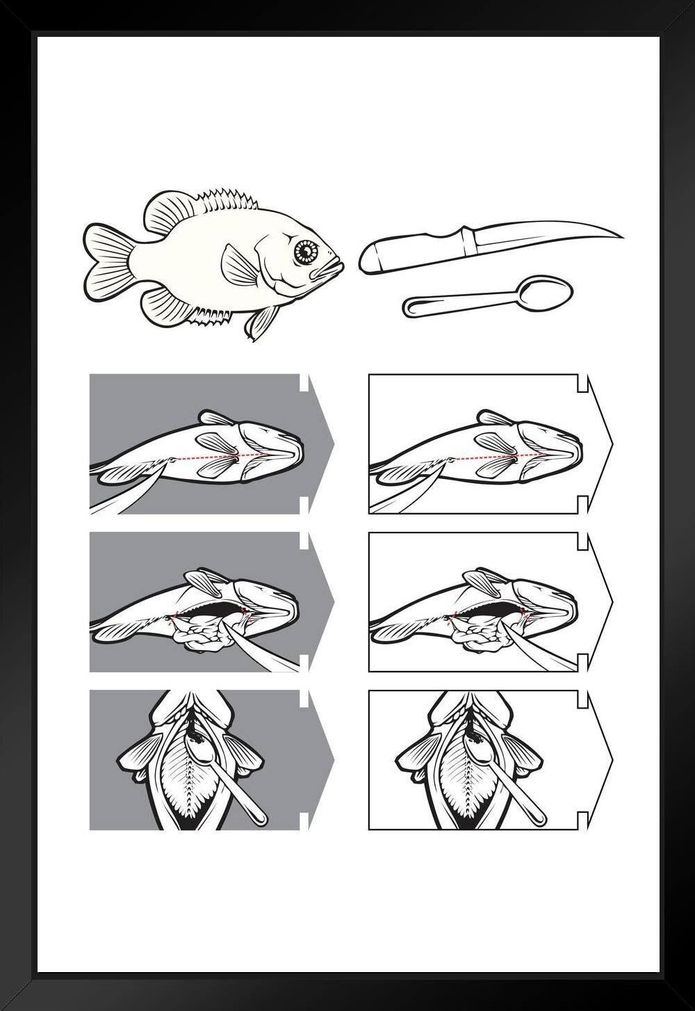 Trinx Comment Nettoyer Un Poisson Poissonnier Ou Boucher Diagramme