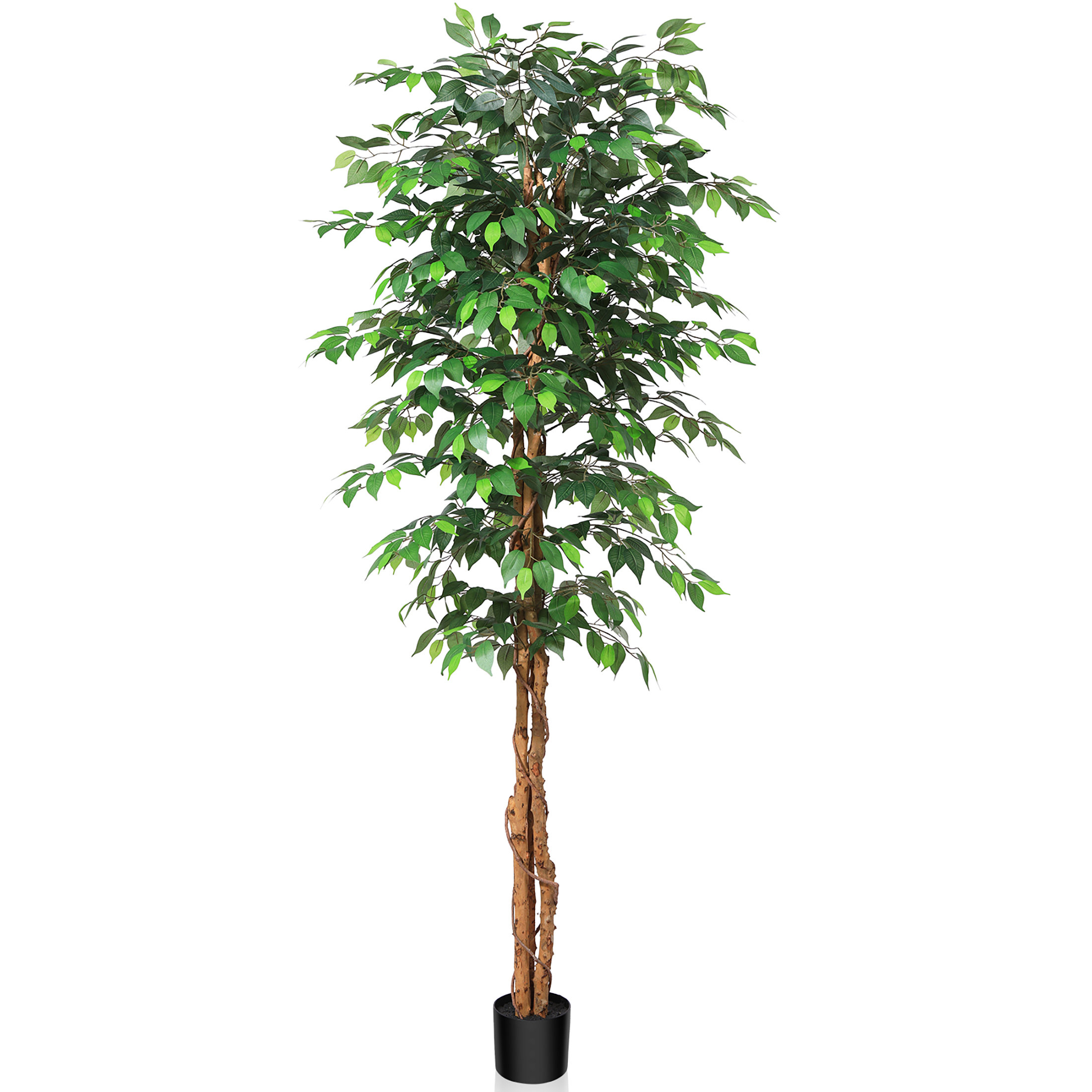 Primrue Adcock Faux Ficus Tree In Pot With Realistic Leaves And Natural