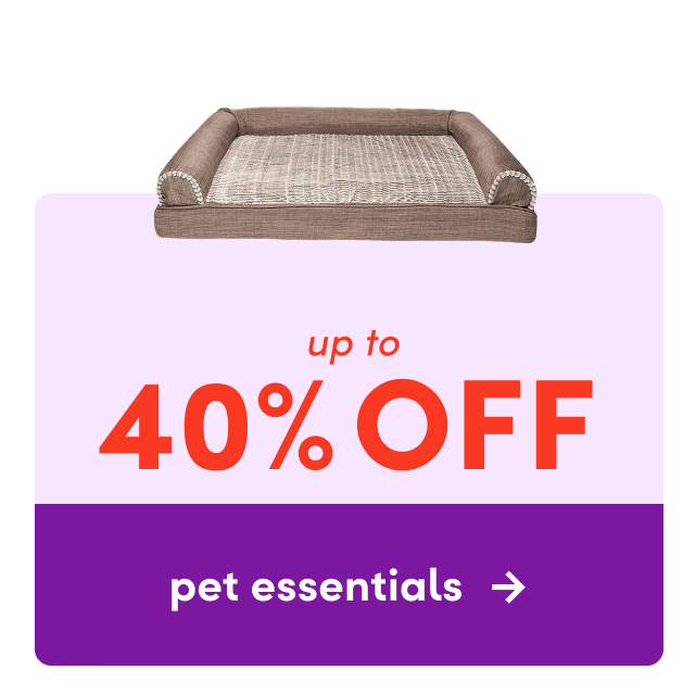 pet essentials clearance