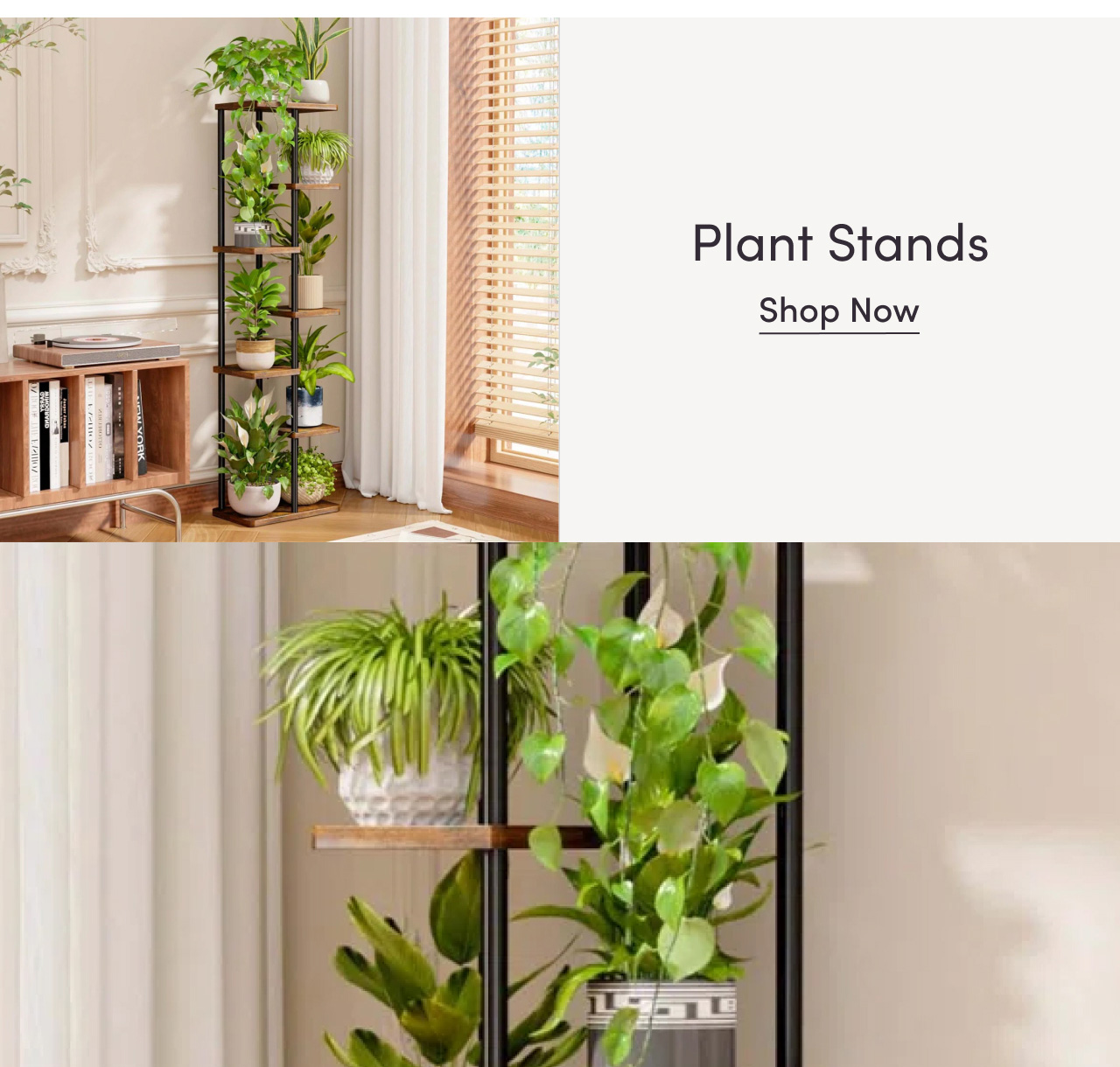 Offers on Plant Stands