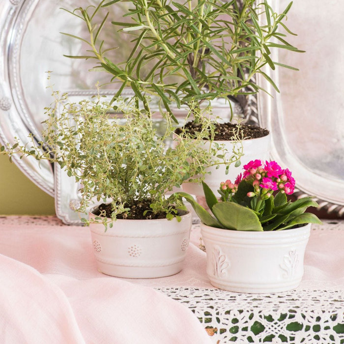 White Embossed Stoneware Ramekin with Rustic Detailing