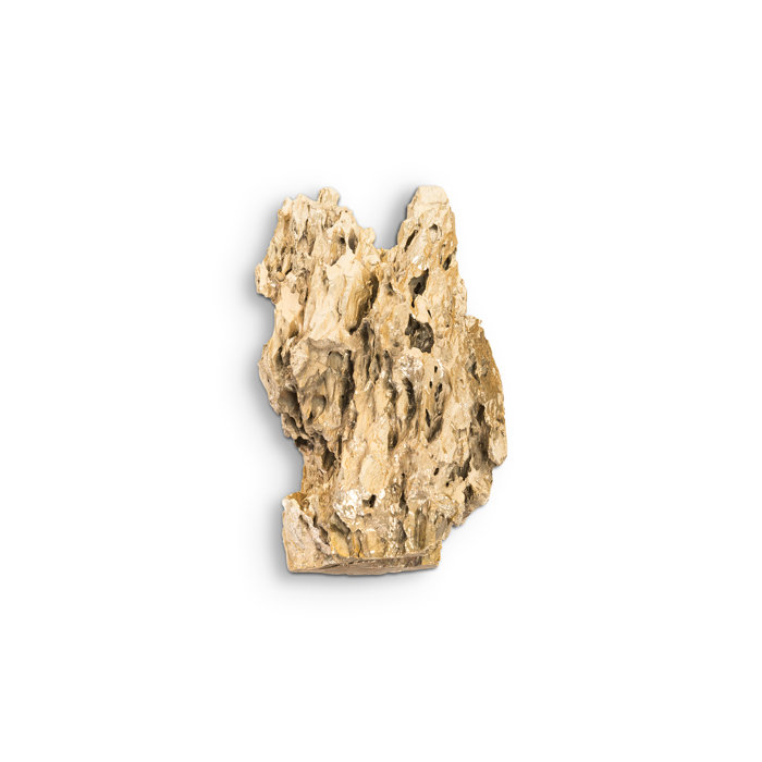 Gold Plated Natural Stalagmite Wall Sculpture Set