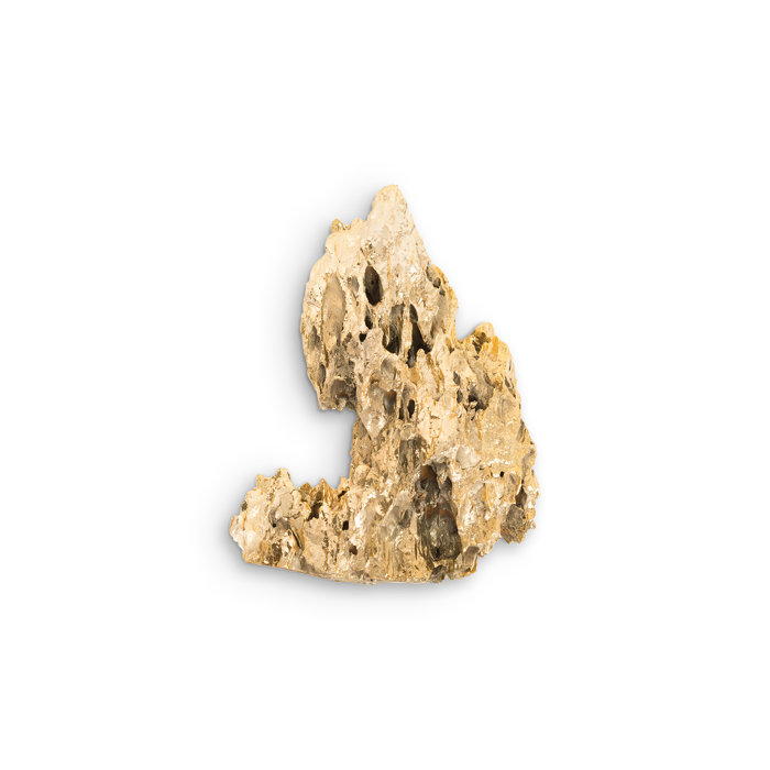 Gold Plated Natural Stalagmite Wall Sculpture Set