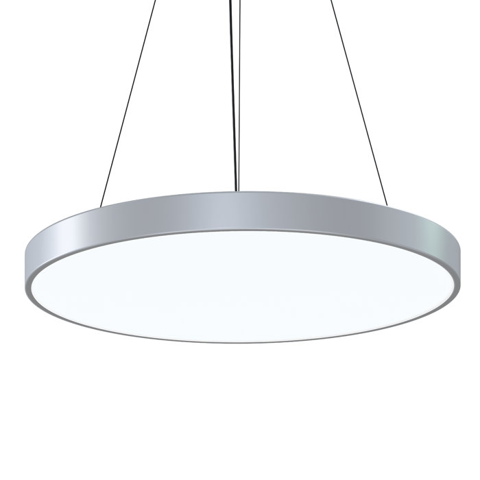 Bright Satin Aluminum 29.5" LED Indoor/Outdoor Pendant Light