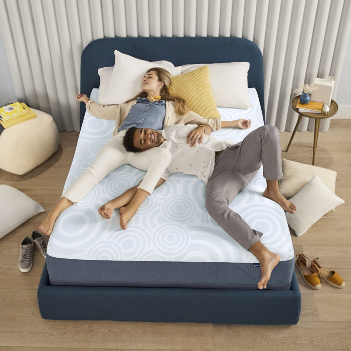Nestled Night 10" Queen Gel Memory Foam Medium Firm Mattress