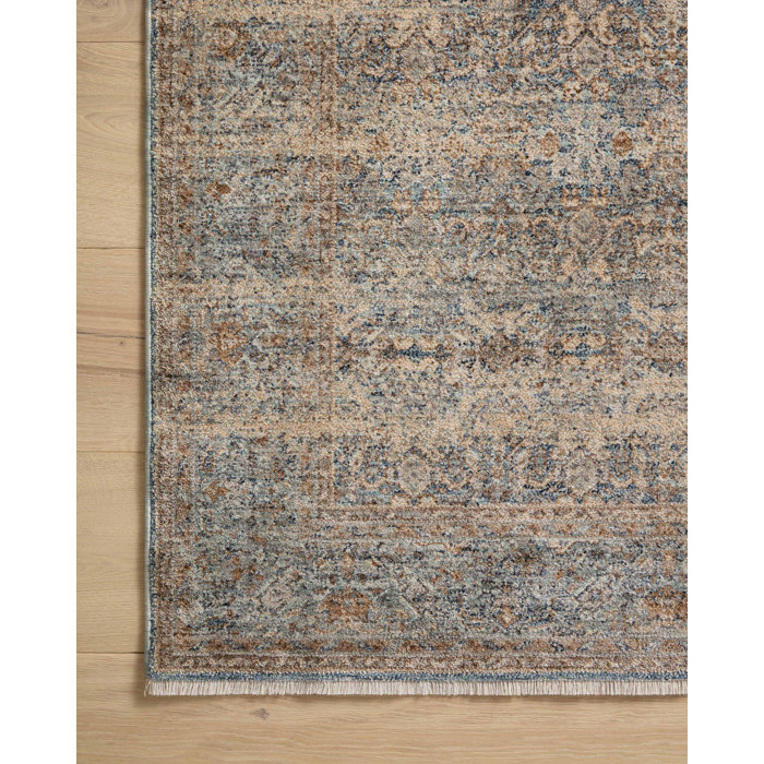 Blake Ocean Mocha Distressed Synthetic Area Rug