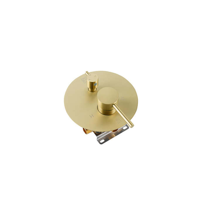 Brushed Gold Brass Wall Mounted Handheld Shower System