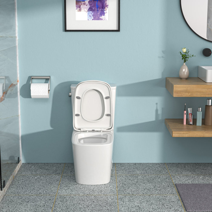 White Ceramic One-Piece Elongated High Efficiency Toilet