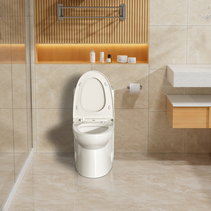 White Ceramic One-Piece Elongated Dual Flush Toilet