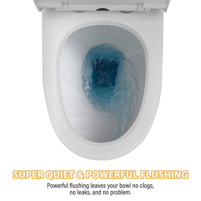 White Ceramic One-Piece Elongated Dual Flush Toilet