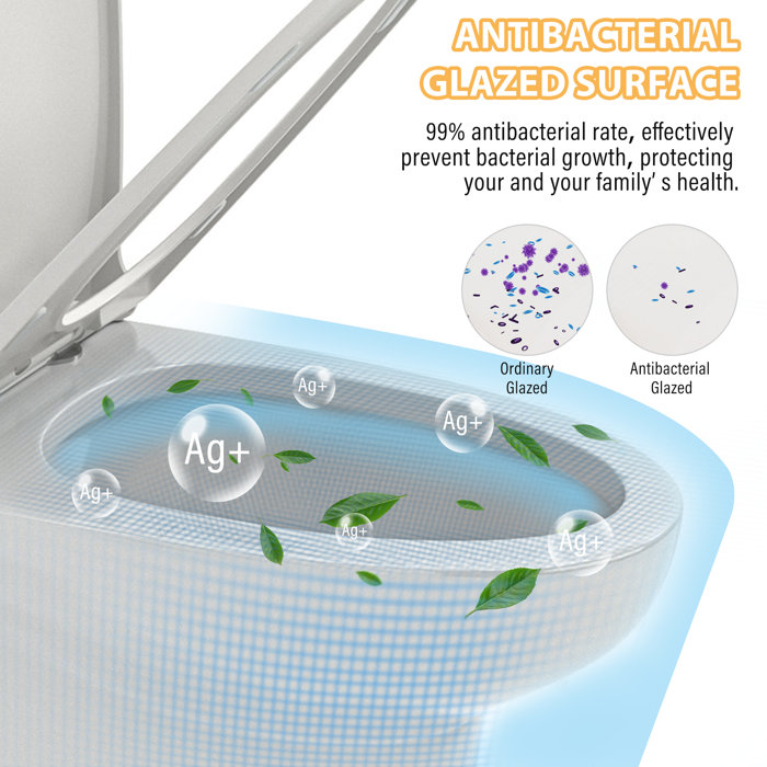 White Ceramic One-Piece Elongated Dual Flush Toilet