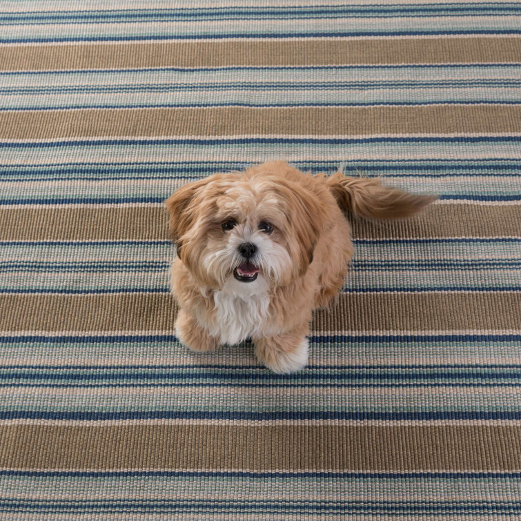 Coastal Farmhouse Blue Heron Stripe Indoor/Outdoor Rug 5' x 8'