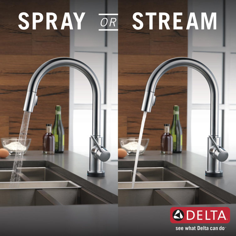 Stainless Steel Modern Pull-Down Kitchen Faucet with Spray