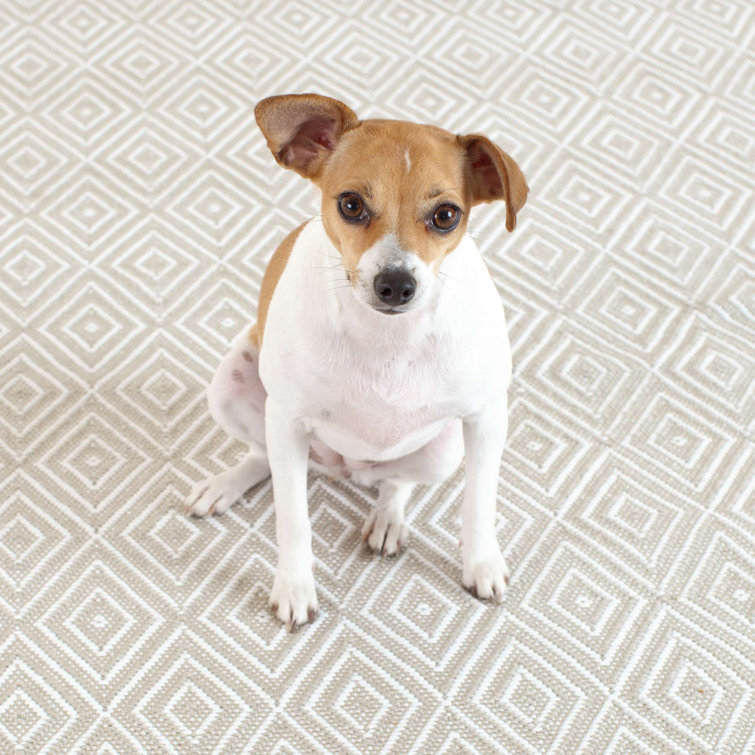Hand-Woven Platinum & White Diamond Synthetic Rug 2' x 3'