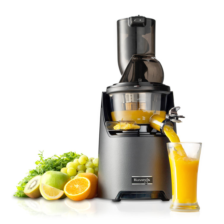 Gun Metal Slow Masticating Juicer with Leather Finish