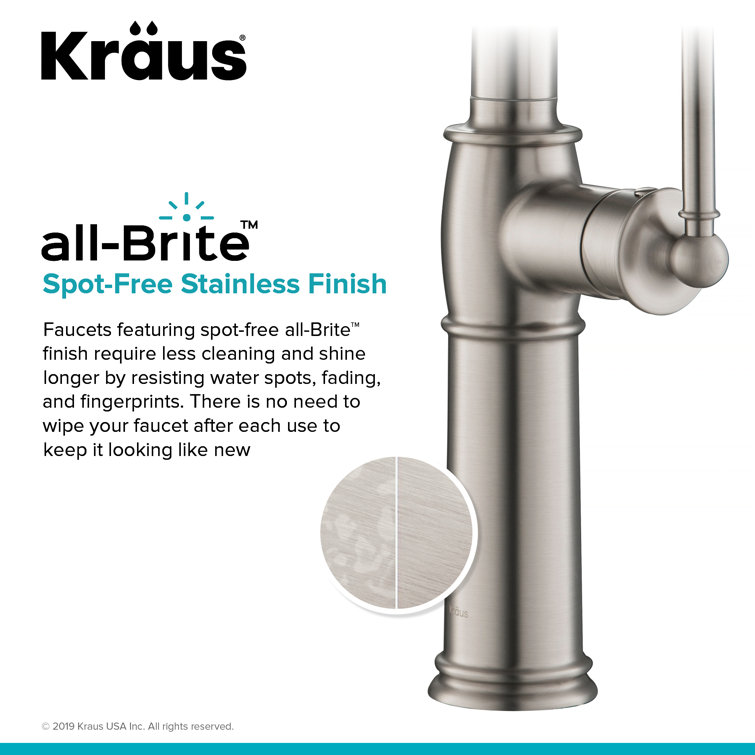 Sellette Pull Down Single Handle Kitchen Faucet