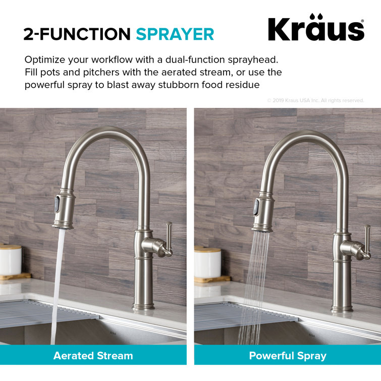 Sellette Pull Down Single Handle Kitchen Faucet