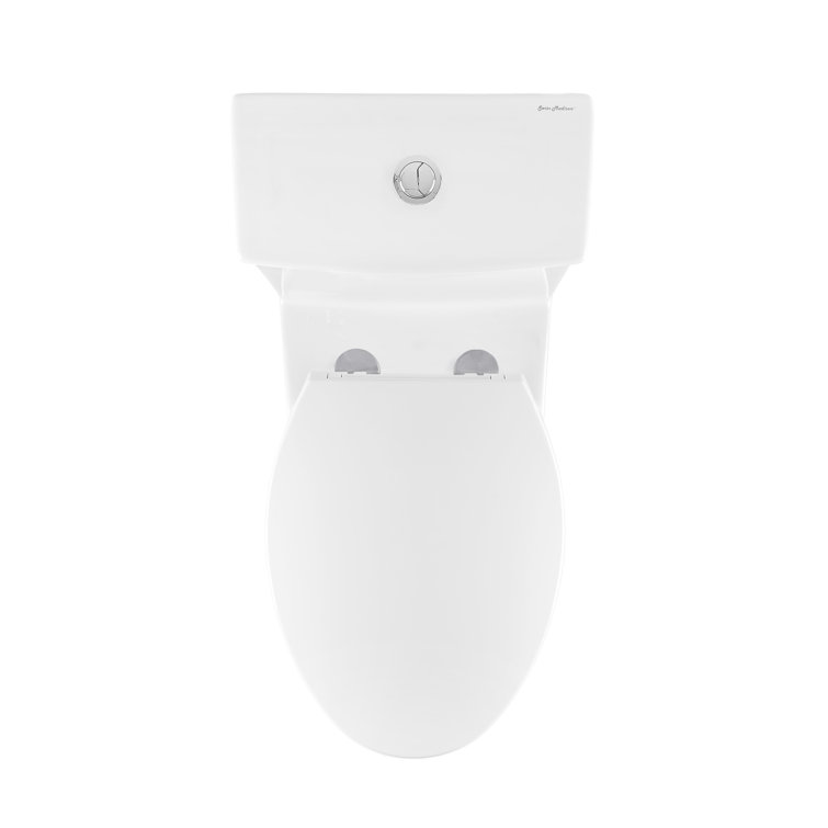 Glossy White Elongated Dual Flush One-Piece Toilet