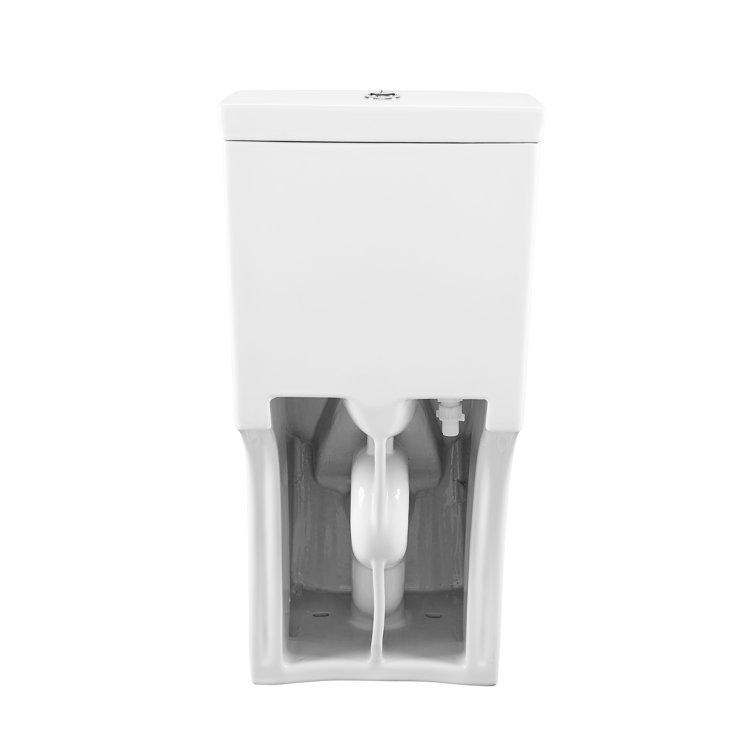 Glossy White Elongated Dual Flush One-Piece Toilet