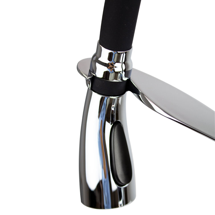 Organix Polished Chrome Pull-Down Kitchen Faucet with Spray