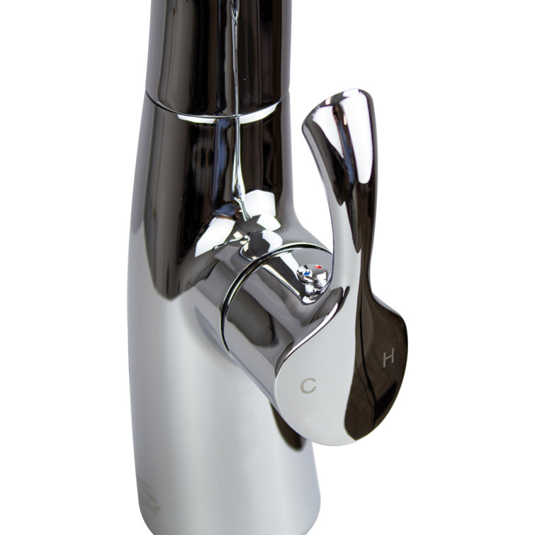 Organix Polished Chrome Pull-Down Kitchen Faucet with Spray