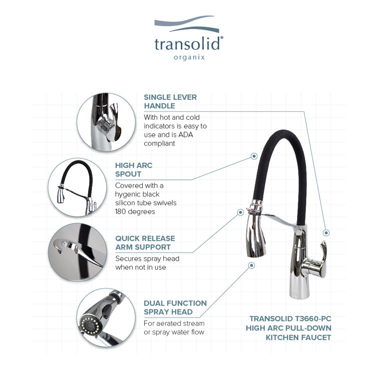 Organix Polished Chrome Pull-Down Kitchen Faucet with Spray