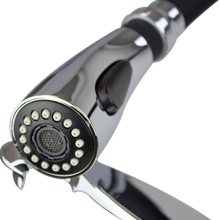 Organix Polished Chrome Pull-Down Kitchen Faucet with Spray