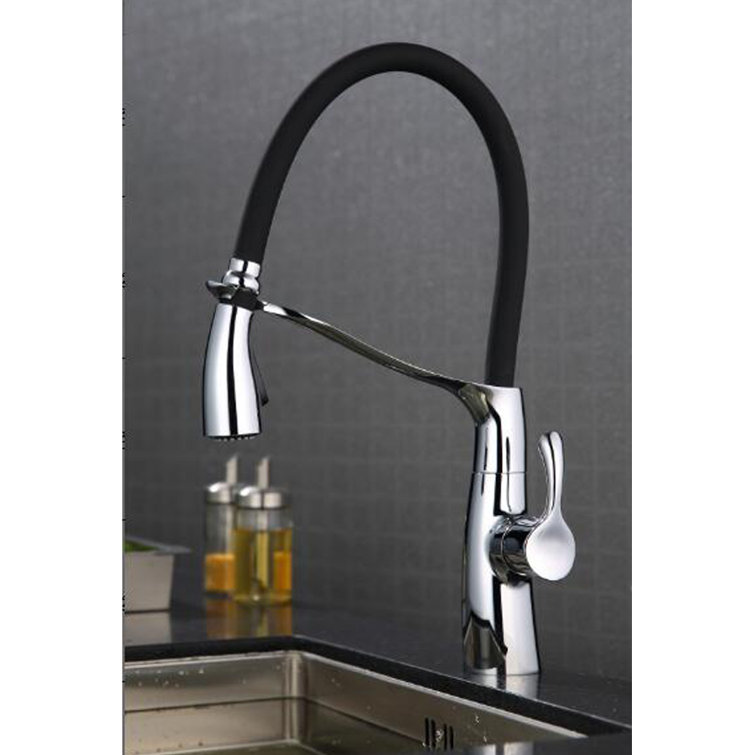 Organix Polished Chrome Pull-Down Kitchen Faucet with Spray