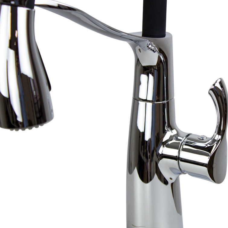 Organix Polished Chrome Pull-Down Kitchen Faucet with Spray