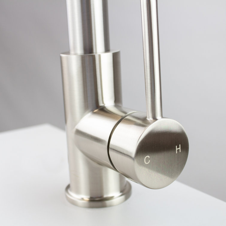 Cuisine Pro Luxe Stainless Steel Pull-down Kitchen Faucet with Sprayer