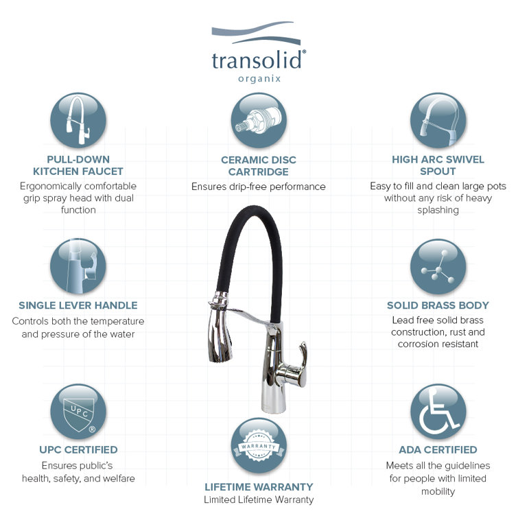 Organix Polished Chrome Pull-Down Kitchen Faucet with Spray