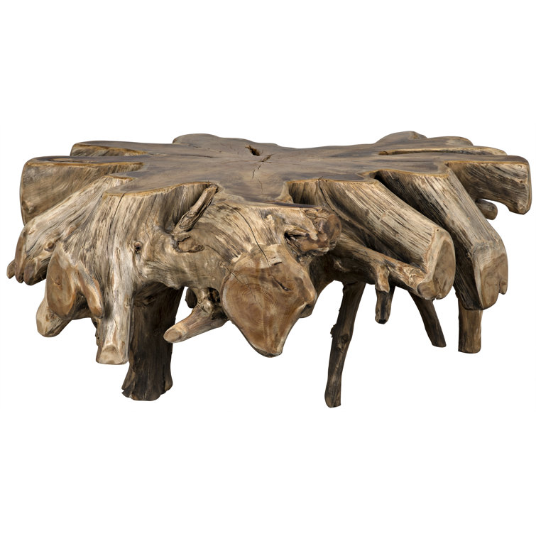 Noir Elegance 50" Teak Root Wood Coffee Table