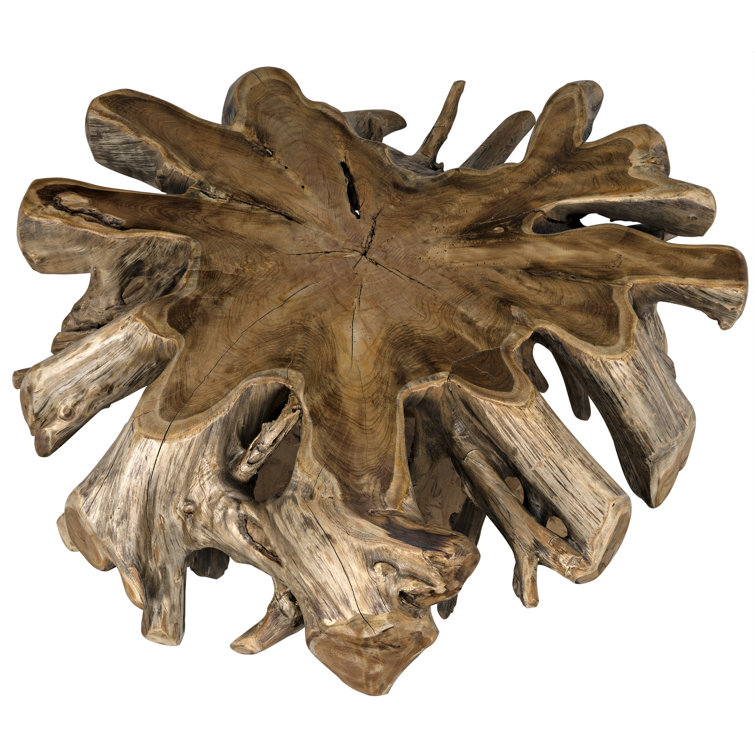 Noir Elegance 50" Teak Root Wood Coffee Table