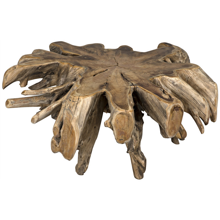 Noir Elegance 50" Teak Root Wood Coffee Table