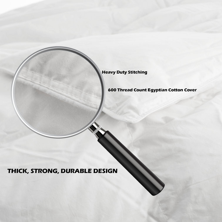 Twin White Cotton Goose Down Comforter with Corner Tabs