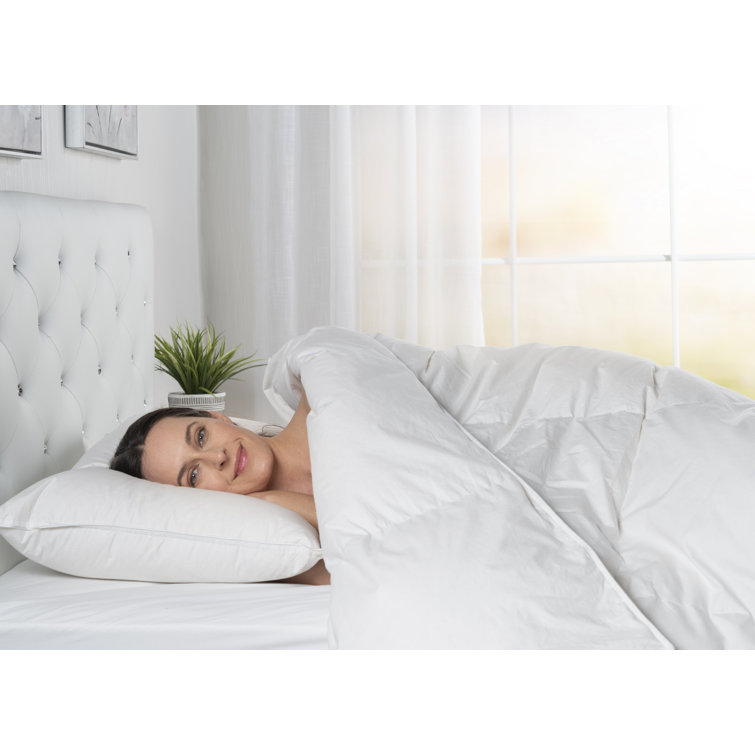 Twin White Cotton Goose Down Comforter with Corner Tabs