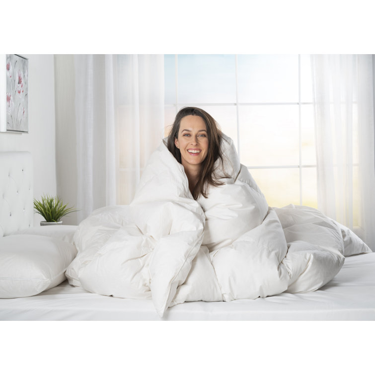 Twin White Cotton Goose Down Comforter with Corner Tabs
