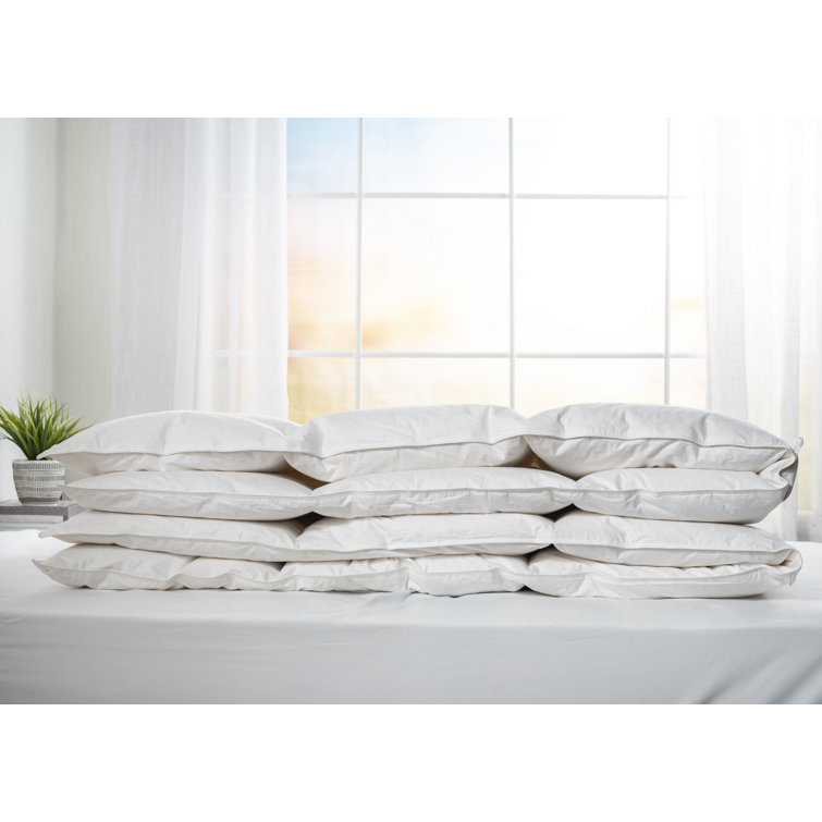 Twin White Cotton Goose Down Comforter with Corner Tabs