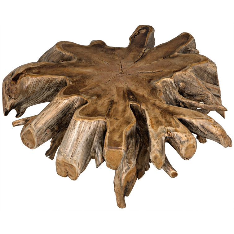 Noir Elegance 50" Teak Root Wood Coffee Table