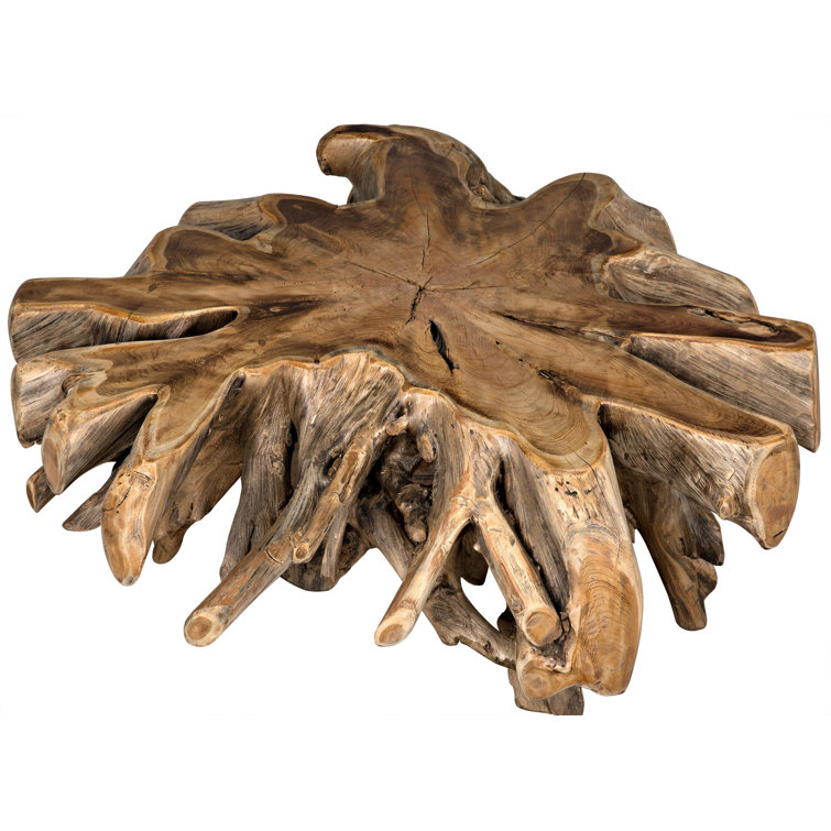 Noir Elegance 50" Teak Root Wood Coffee Table