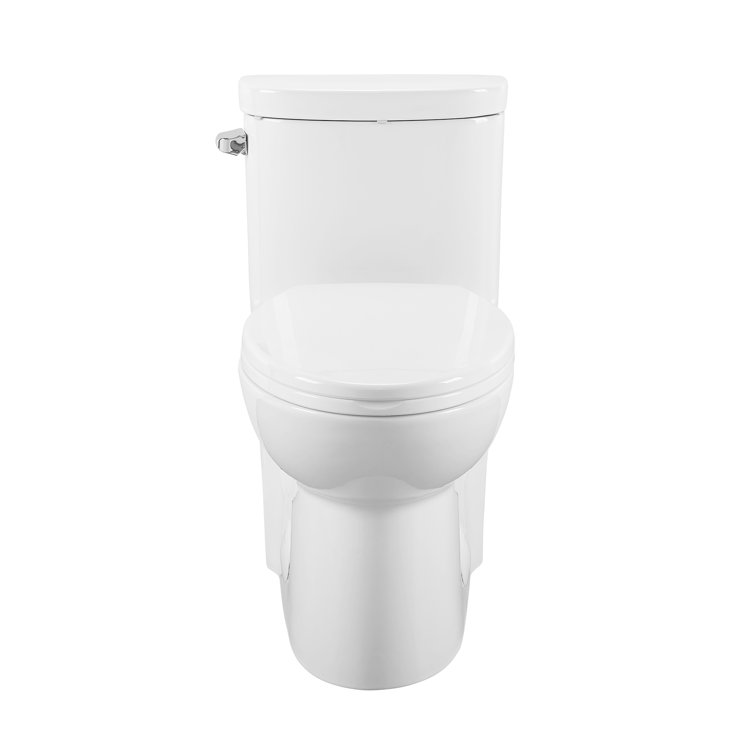 Glossy White Elongated Dual Flush One-Piece Toilet