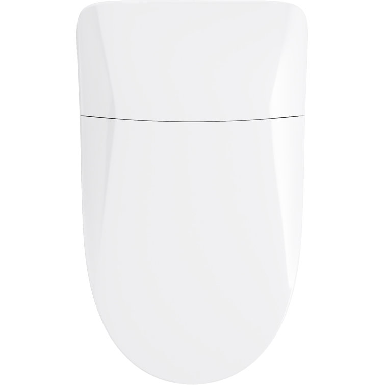 White and Rose Gold Trim Elongated Dual Flush Toilet