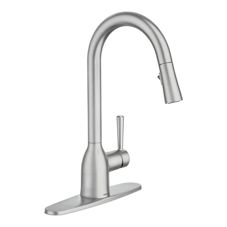Adler Stainless Steel Pull-Down Kitchen Faucet with Spray