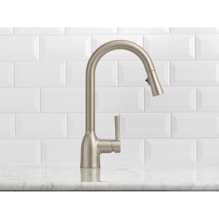 Adler Stainless Steel Pull-Down Kitchen Faucet with Spray