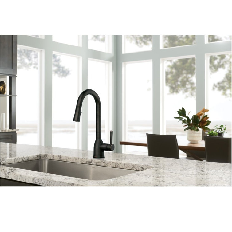 Bronze Transitional Kitchen Faucet with Pull-Out Spray