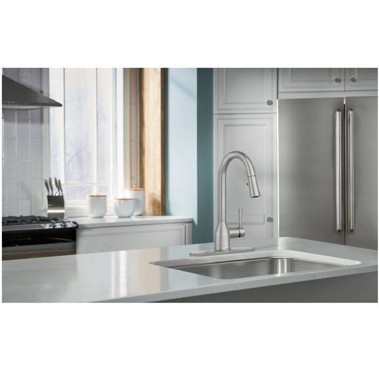 Adler Stainless Steel Pull-Down Kitchen Faucet with Spray