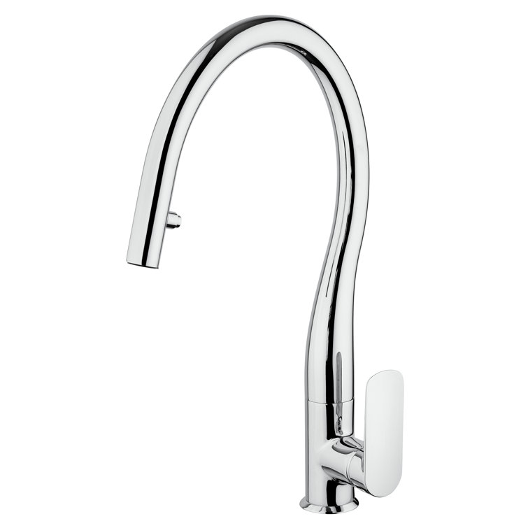 Chrome Brass Traditional Kitchen Faucet with Pull-out Spray
