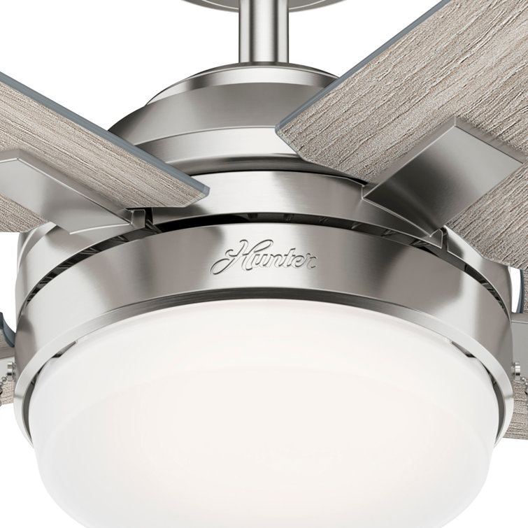 Hunter 44" Brushed Nickel Ceiling Fan with Light Gray Oak Blades