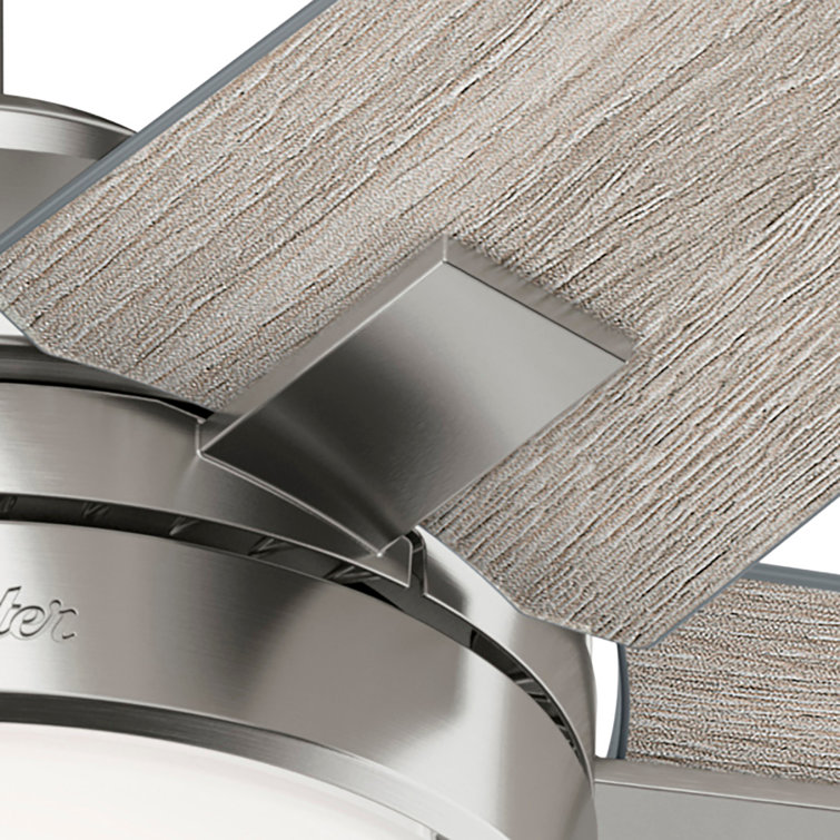 Hunter 44" Brushed Nickel Ceiling Fan with Light Gray Oak Blades