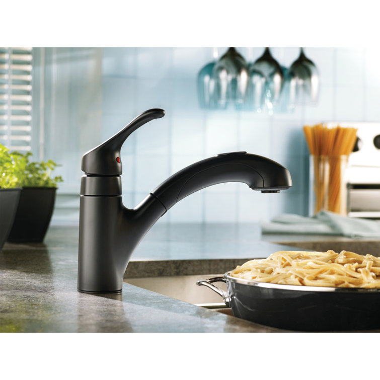 Matte Black Single Handle Pull-Out Kitchen Faucet